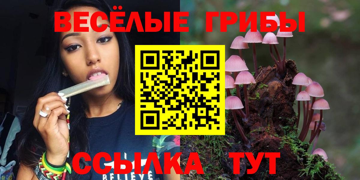 Псилоцибиновые грибы мицелий Новокубанск
