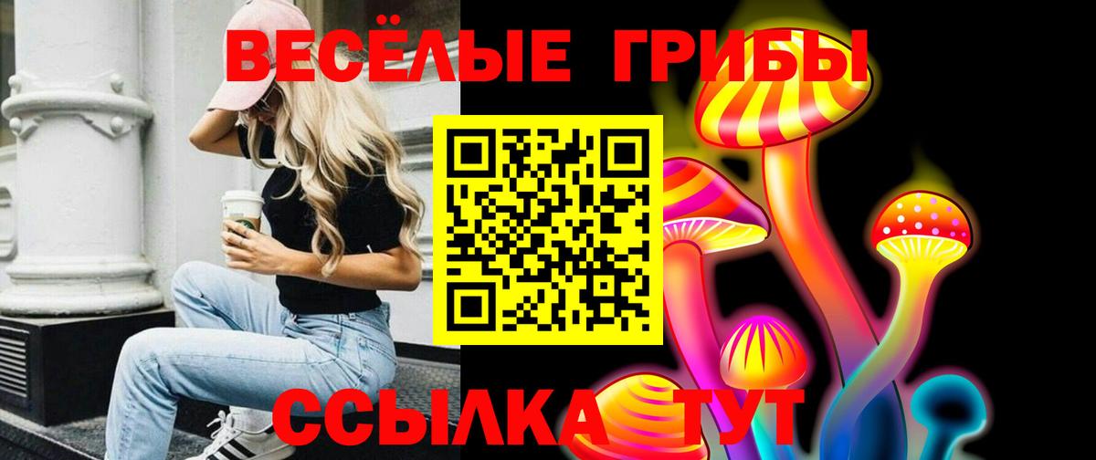 Новокубанск  Галлюциногенные грибы Magic Shrooms  Вход с VPN 